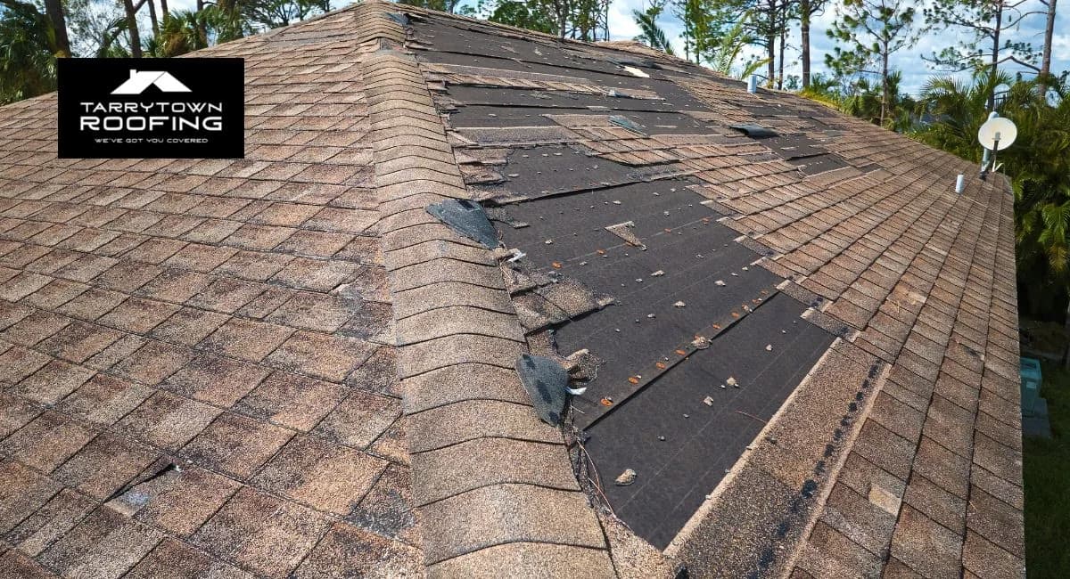 How to spot early signs of roof damage