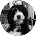 Jerry Sugerman profile picture