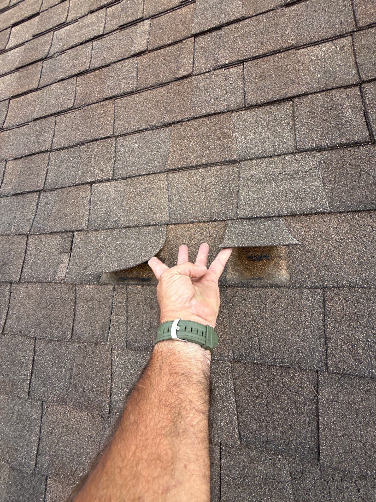 Brittle Shingle, lifted shingles