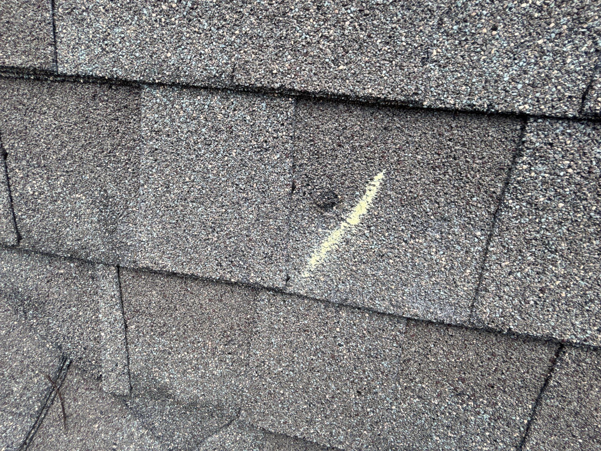 asphalt shingle roof