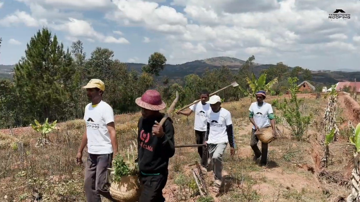 Evertreen Video Still: Ambohimanaiky Sahamadio Forest by Tarrytown Roofing.